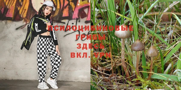 mdpv Балахна