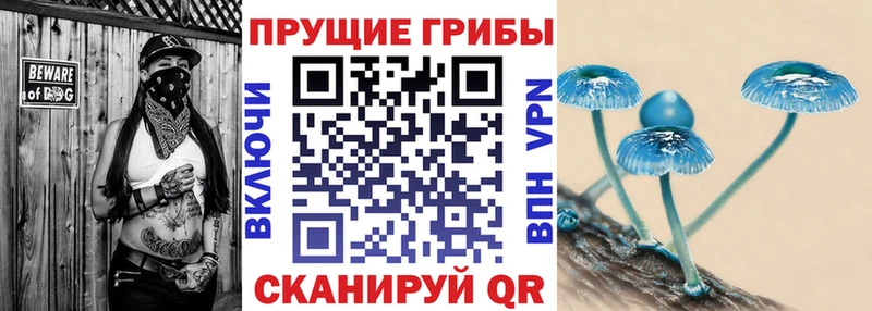 мега рабочий сайт  Благодарный  Псилоцибиновые грибы Magic Shrooms  наркота 